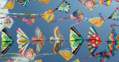 بیس سال بعد رنگوں کا تہوار